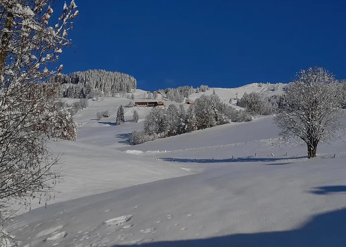 Obernauer Appartamento